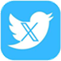 Twitter/X